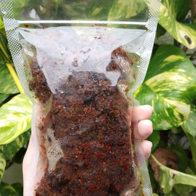 

Rendang Paru