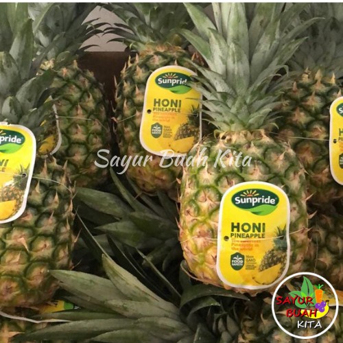 

Buah Nanas Sunpride Honi Jumbo / Ukuran Sedang Segar Per Buah