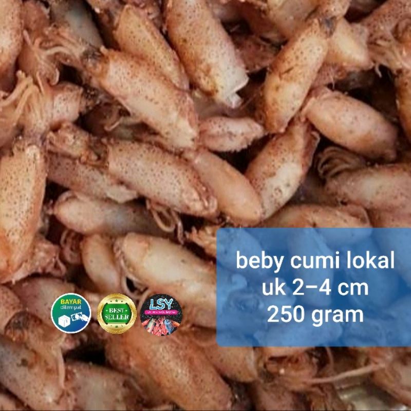 

ikan asin baby cumi lokal super2 250 gram