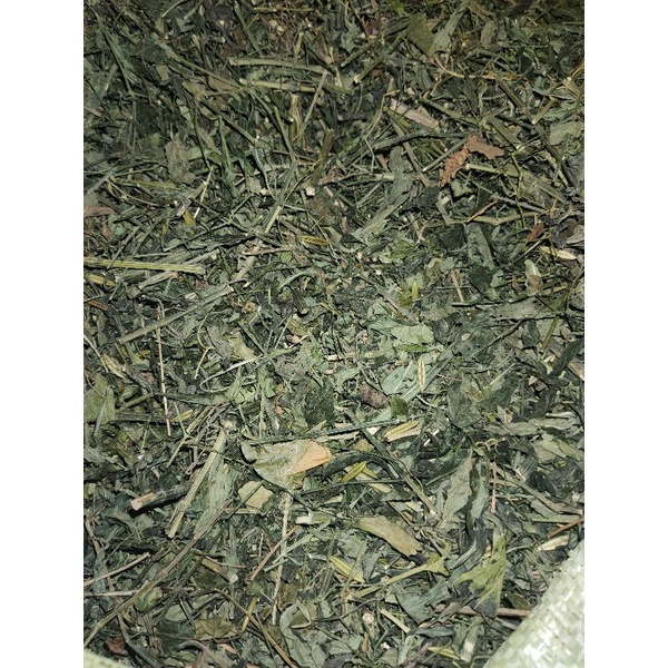

Daun Sambiloto Sambiroto Jamu 500gram