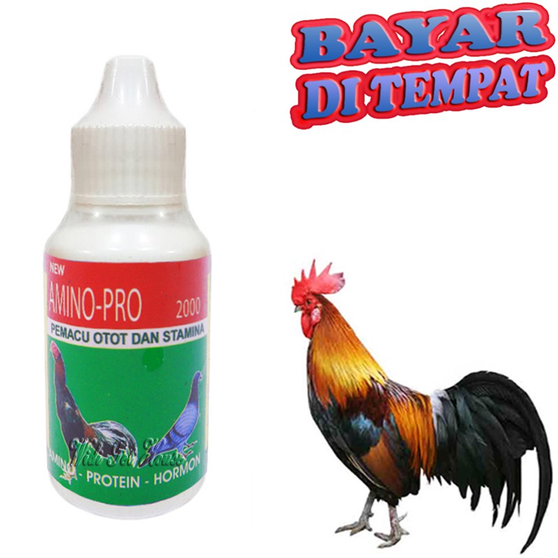 Vitamin Penggemuk Ayam AMINO PRO 2000 Penambah Nafsu Makan
