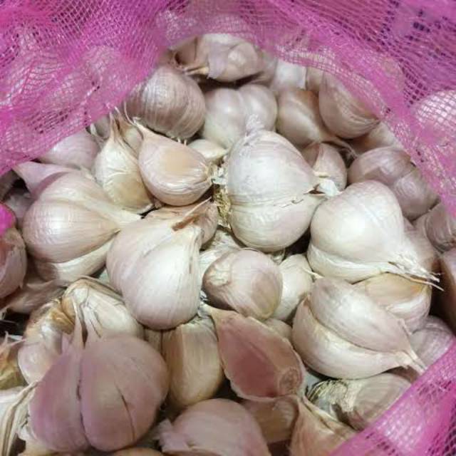 

Bawang putih kating