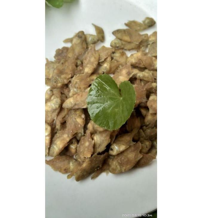 

IdEe3E8--baby fish 1kg