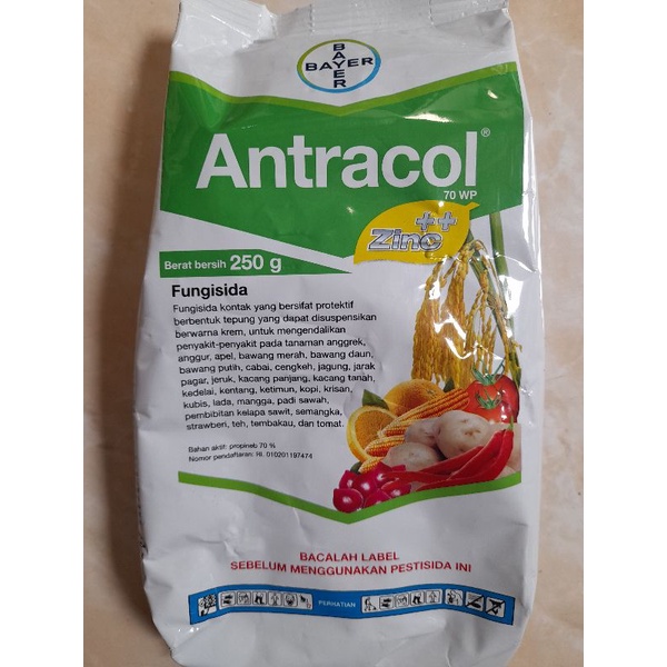 Fungisida Antracol 250gr