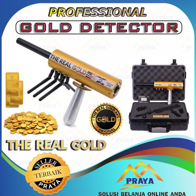 The Real Gold Professional Metal Detector Emas Murah