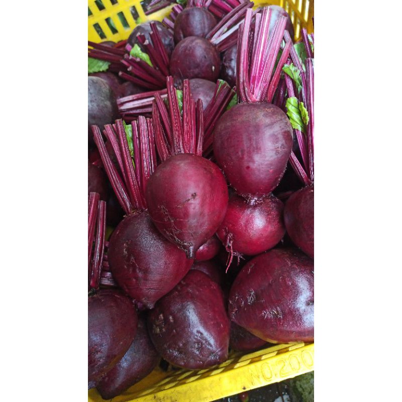 

buah bit/beet root fresh termurah paket 3 kg