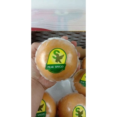 Buah pear singo korea SK