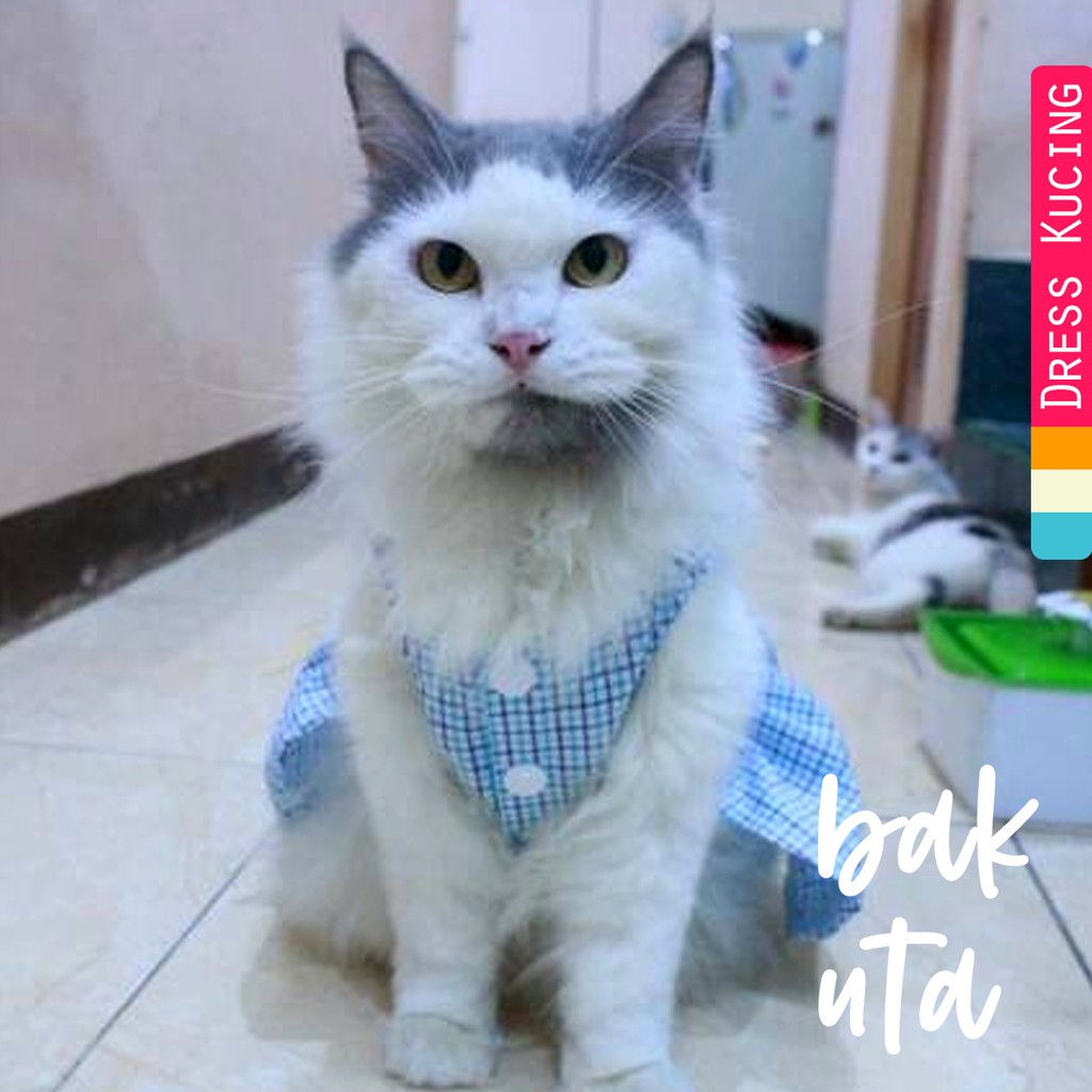 Dress kotak-kotak biru laut lucu untuk kucing dan anjing size S M L XL