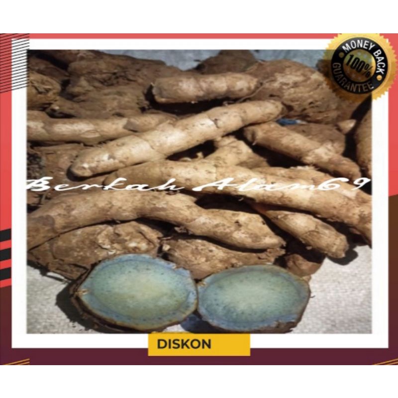 

Temu Ireng/Temu Hitam Segar 1kg murah