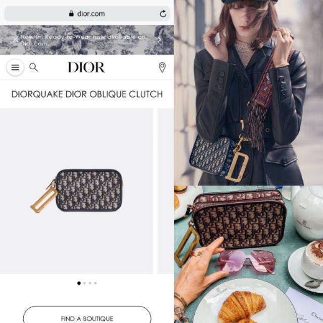 dior oblique clutch bag