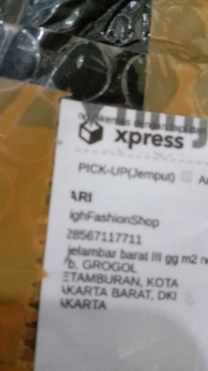 Grinder Mixer Serbaguna Genius Nicer Dicer Plus 3 Mata Pisau / Blender Cincang Daging, Bumbu, Bawang