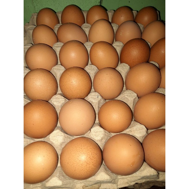 

[PROMOHARI INI] TELUR AYAM