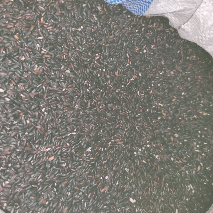 

KETAN-BERAS- BERAS KETAN HITAM PK 1 LITER KUALITAS BAGUS -BERAS-KETAN.