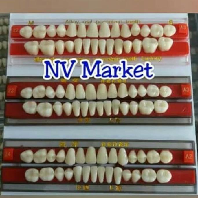 Gigi Palsu Porselen / Full Set