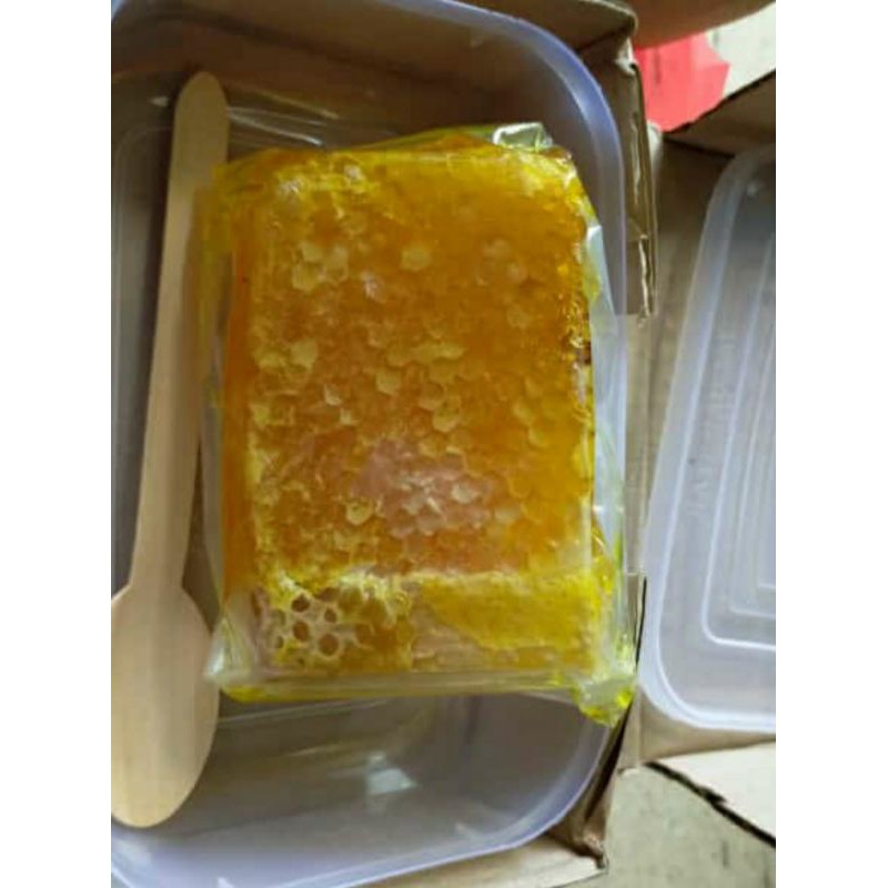 

madu sarang lebah asli