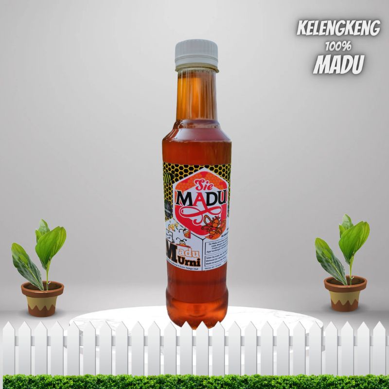 

Madu Murni kelengkeng 100% Mentah Hasil Lebah Tanpa Campuran Organik Raw Honey Asli Lebah Tanpa Proses