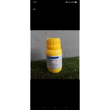 Regent 50 ML insektisida tanaman ,racun serangga, semut