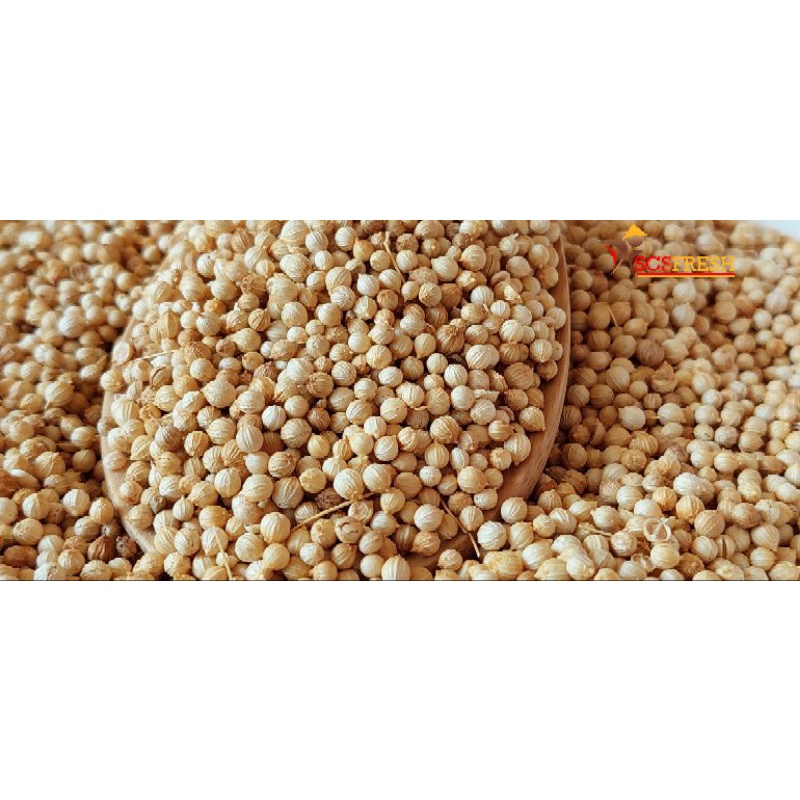 

Ketumbar Kuning Kualitas Super