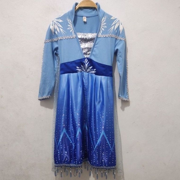 Kostum Dress Frozen (preloved)