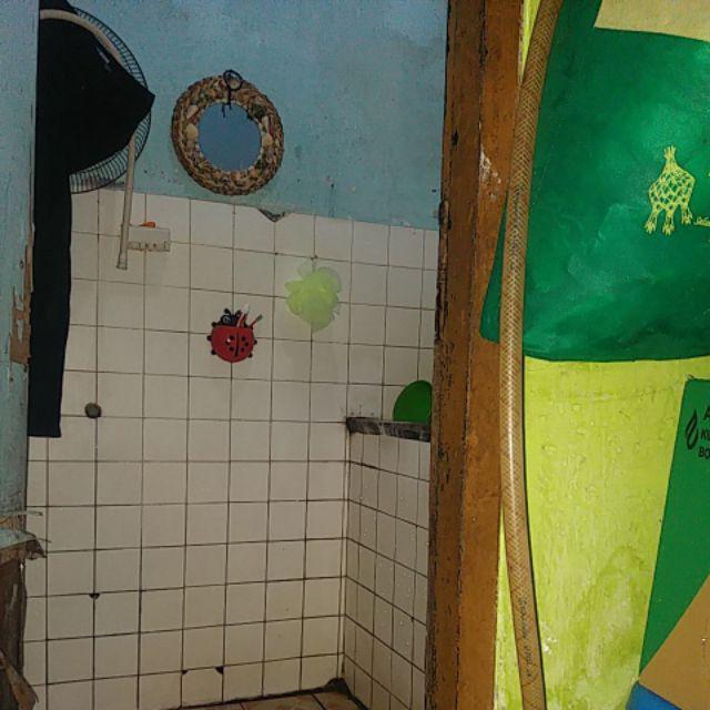 Lady Bug Kumbang Tempat Sikat Gigi Odol / Lady Bug Kumbang Multifungsi