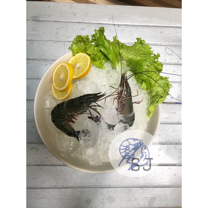 

udang pancet fresh 21-23