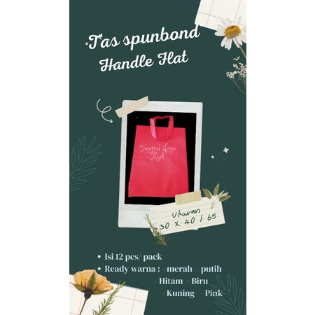 

TasSpunbondHandleFlat