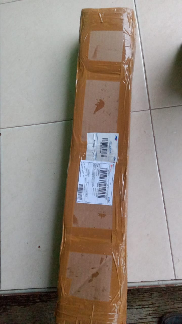 Bibit Tanaman Bunga Sepatu Ganda Pohon Bunga Sepatu Double Ungu Kuning Merah Pohon Kembang Sepatu