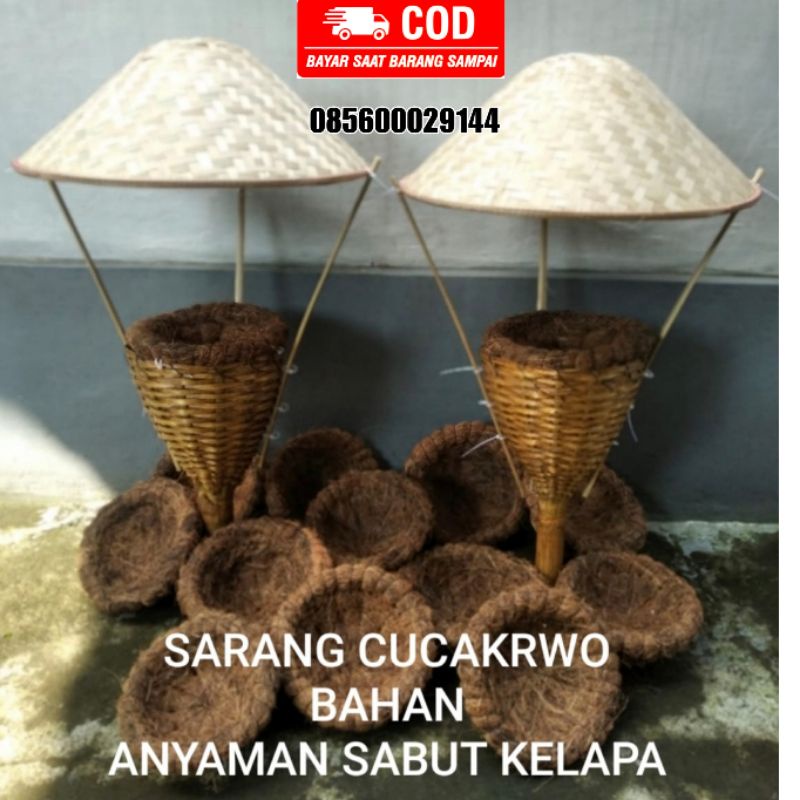 Sarang burung cucak rowo