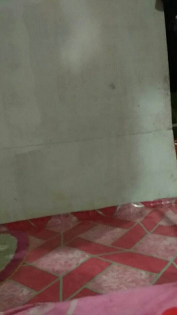 Kelambu Tidur Kelambu Nyamuk Kolambu Kotak Motif Keropi