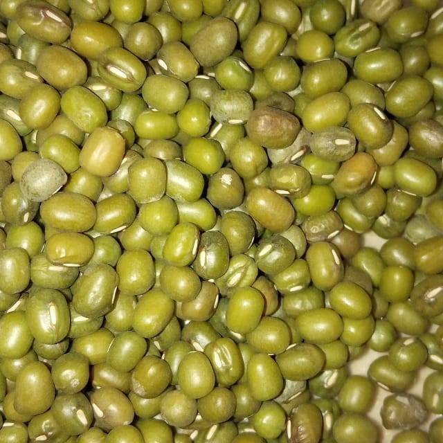 

Kacang hijau