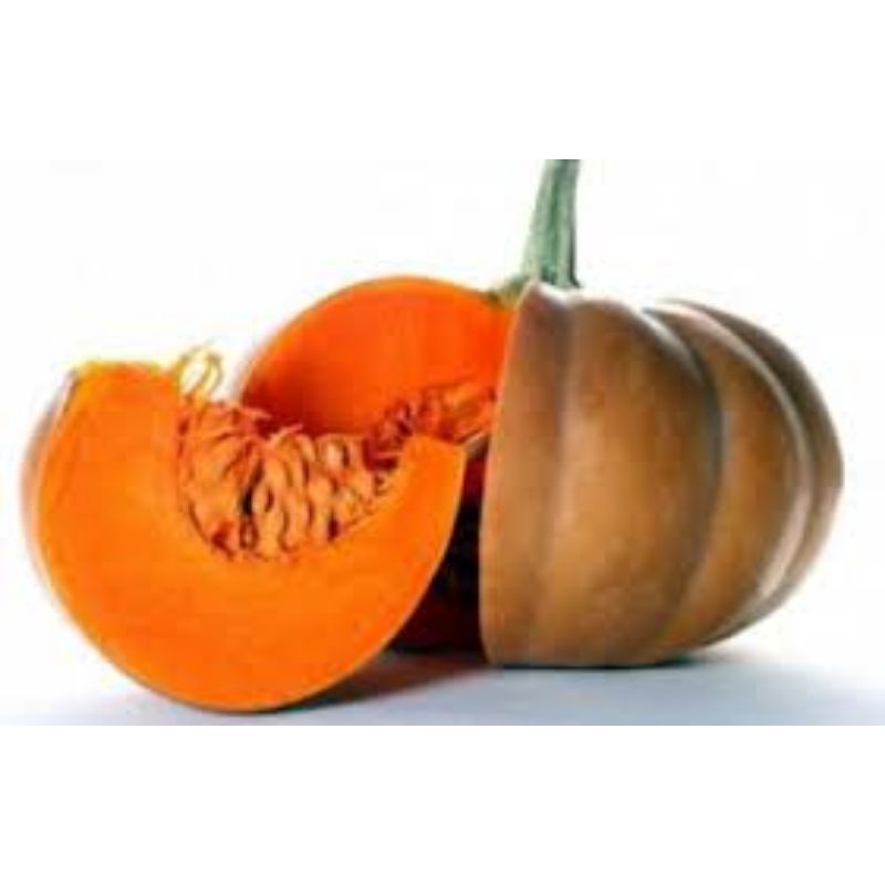 30biji bibit labu kuning, labu besar waluh