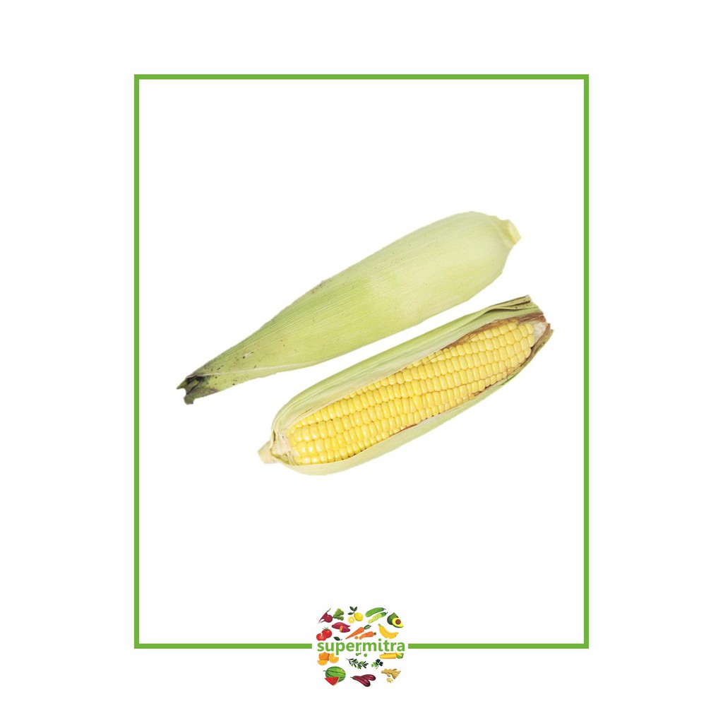 

Jagung manis ( 1kg )