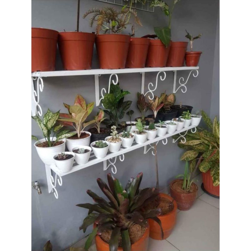 rak bunga besi rak pot bunga dinding