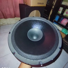 Speaker 12 Inch 12 In Full Range 600 Watt Black Spider