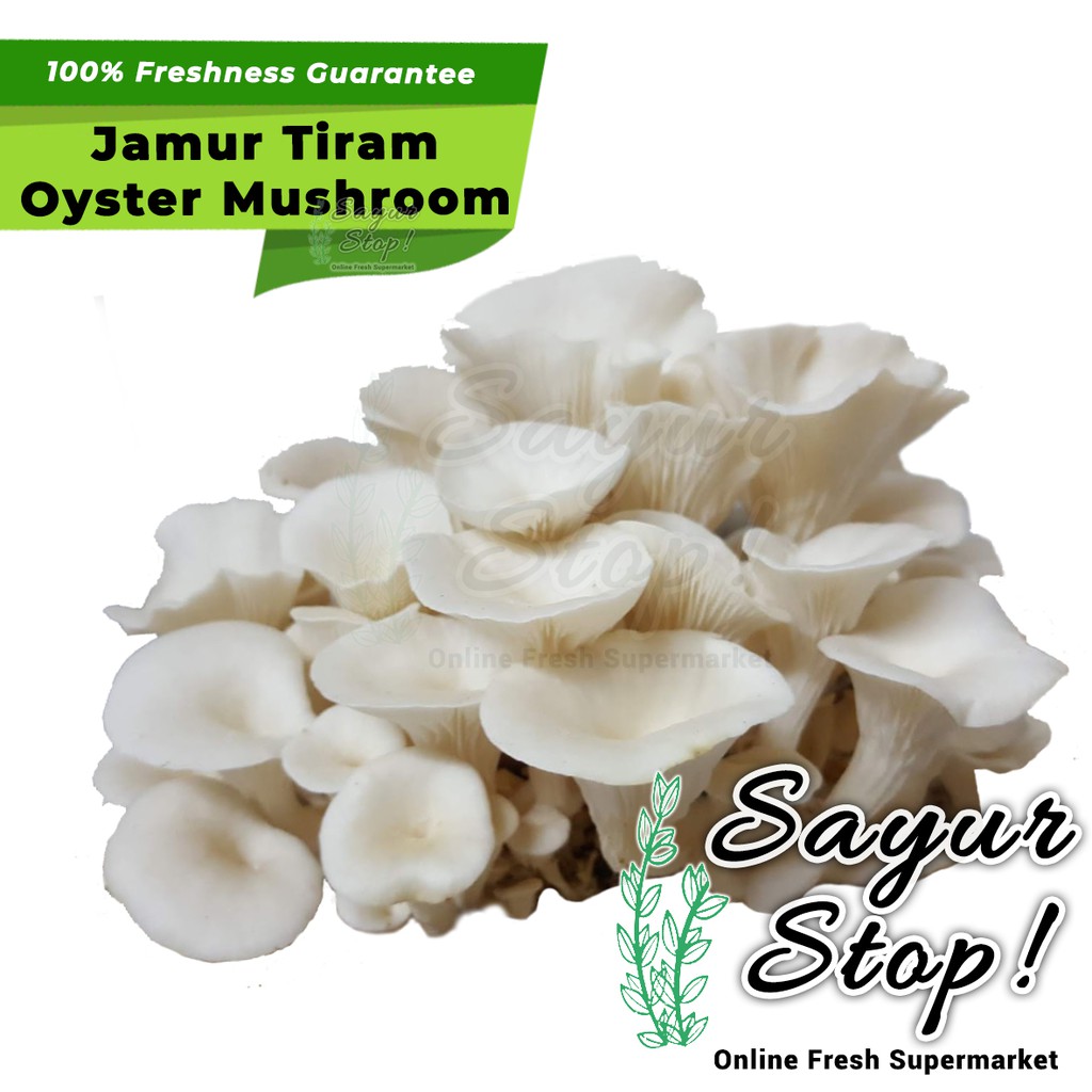 

Sayur Stop Jamur Tiram 250 gram