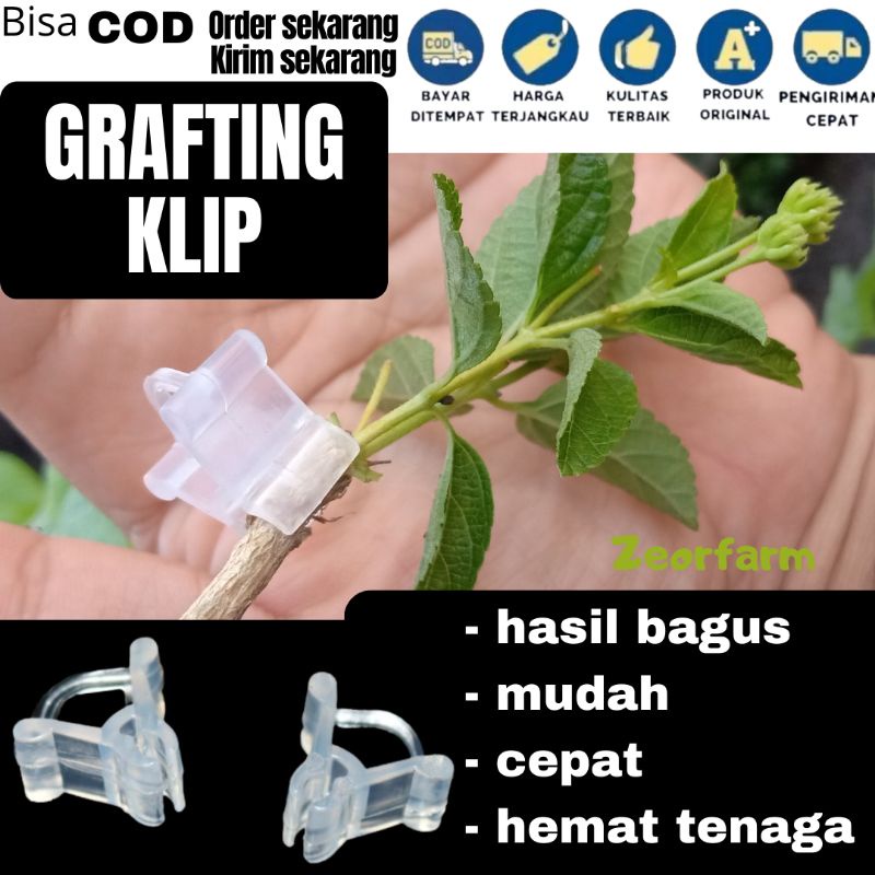 GRAFTING CLIP klip okulasi cangkok tanaman sambung pucuk