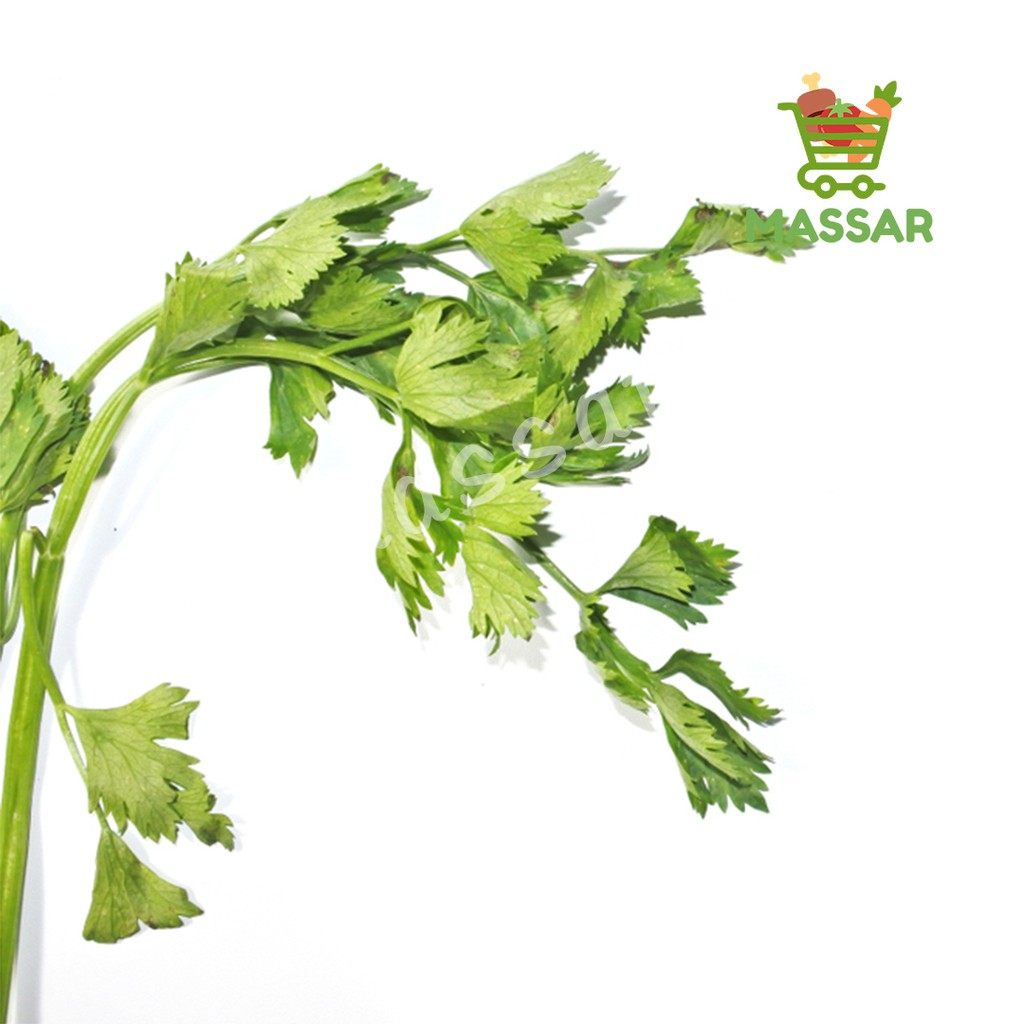 

DAUN SELEDRI PER IKAT