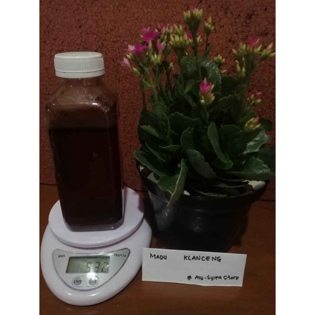 

Madu Klanceng
