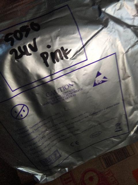 24volt - Led Roll Pink Mata Besar 5050 5meter