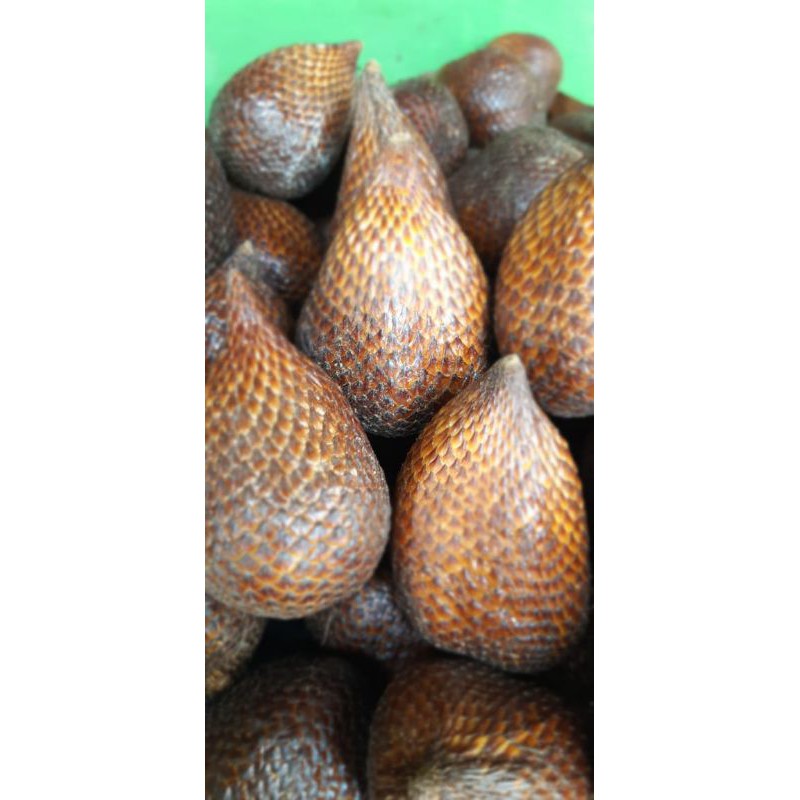 Salak pondoh sleman