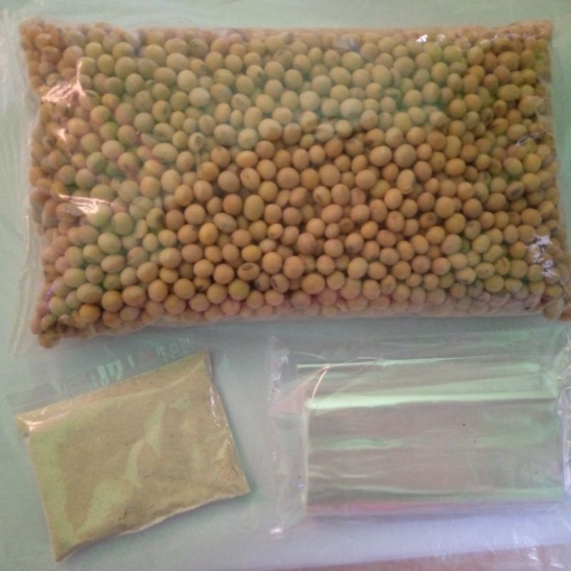 

kacang kedelai
