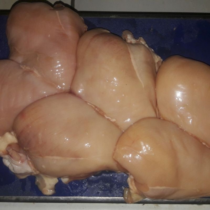 

Dada fillet fresh murah banget