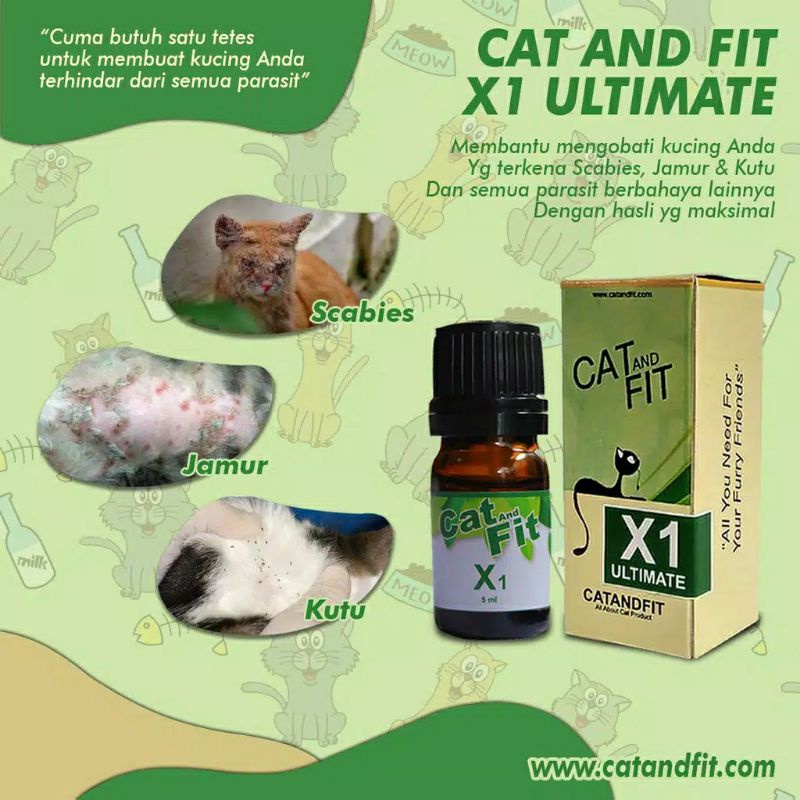 Paket Bebas Jamur dan Bulu lebat Kucing Cat and Fit X1 dan X3