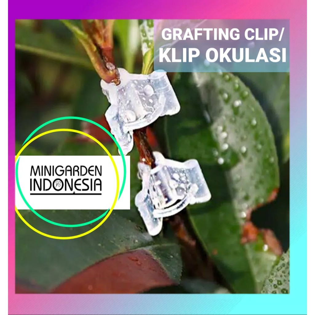 GRAFTING CLIP klip okulasi cangkok tanaman sambung pucuk penjepit sambungan tumbuhan bunga