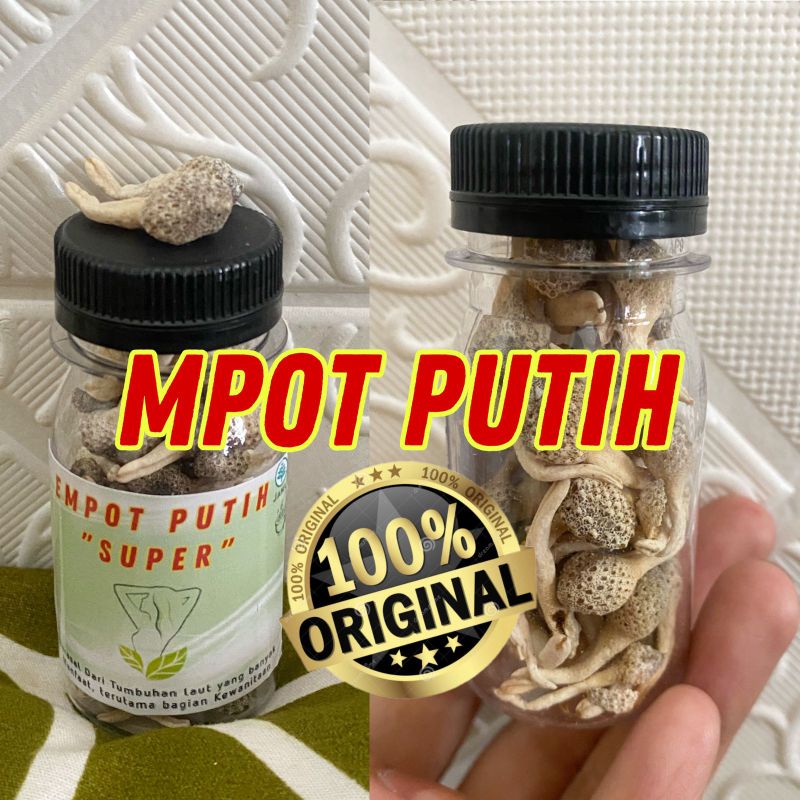 ‼️Bellystore‼️Mpot putih super original dan utuh isi 50 bj