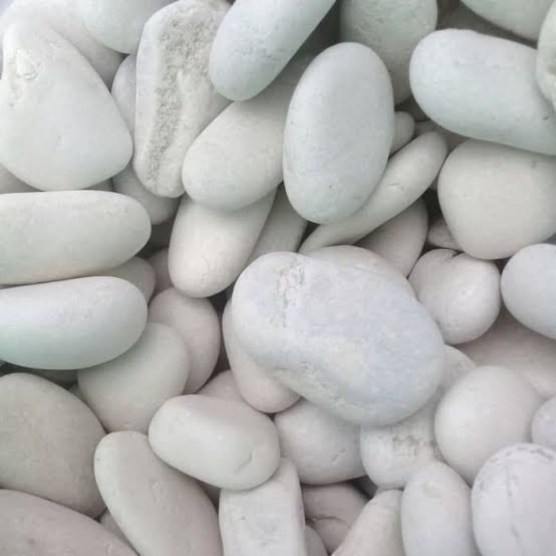 250 gram Batu Hias Koral Batu Coral Warna Putih Besar 250 gram Batu Hias Koral Batu Coral Warna Putih Besar