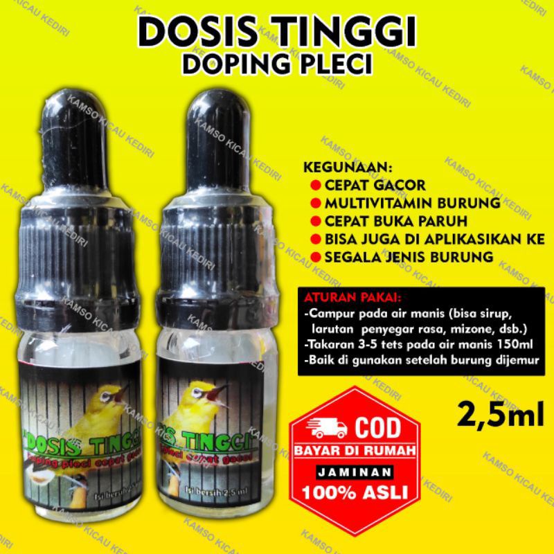 DOSIS TINGGI PLECI DOSTING PLECI