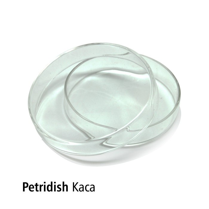 Cawan Petri Dish 120 x 25 mm Borosilicate Glass OJB