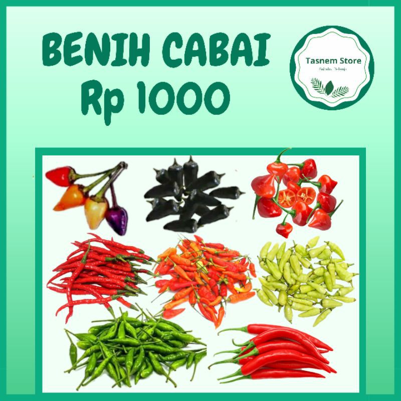 Bibit benih cabe cabai keriting rawit setan hijau merah hitam besar ecer murah