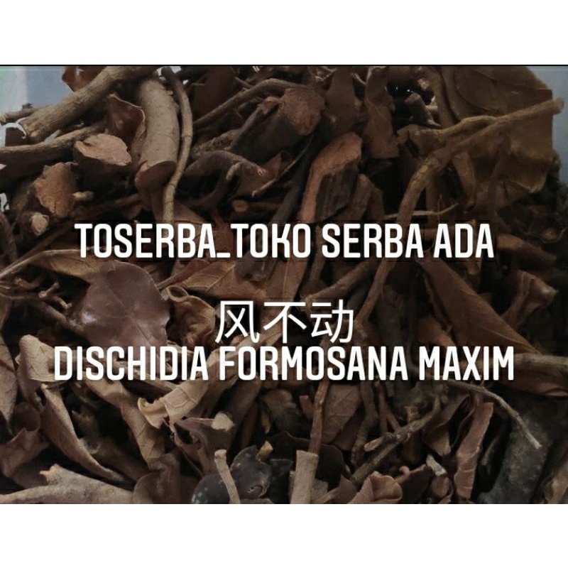 

100gr Herbal Feng Bu Dong 風不動 Dischidia Formosana Premium Grade